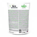 Ласощі для собак Brit Care Dog Crunchy Cracker Insects для імунітету, комахи, кролик і фенхель, 200 г, фото 3