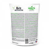 Ласощі для собак Brit Care Dog Crunchy Cracker Insects для імунітету, комахи, кролик і фенхель, 200 г, фото 4