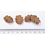 Ласощі для собак Brit Care Dog Crunchy Cracker Insects для свіжості подиху комахи, тунець, м'ята, 200 г, фото 3