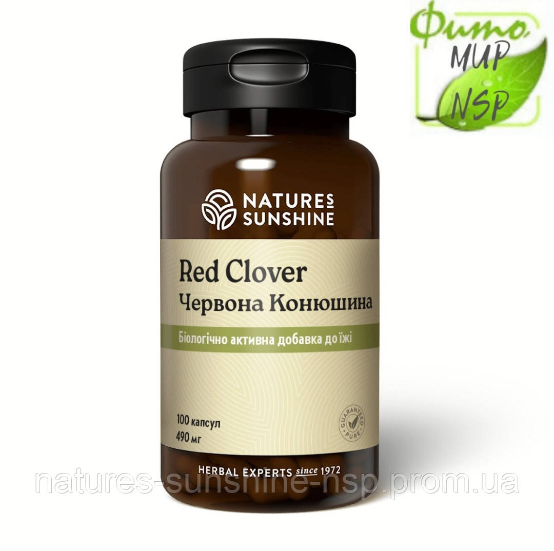 Red Clover Червоний Конюшина