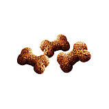 Ласощі для собак Brit Care Dog Crunchy Cracker Insects для підтримки ваги, комахи, індичка та яблуко, 200 г, фото 4