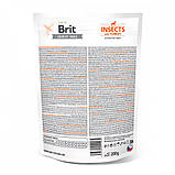 Ласощі для собак Brit Care Dog Crunchy Cracker Insects для підтримки ваги, комахи, індичка та яблуко, 200 г, фото 5