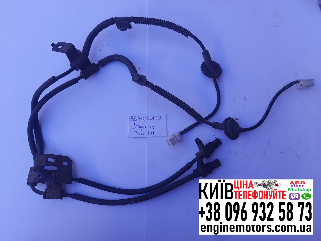 Датчик ABS задній лівий Kia Magentis 599102G100, фото 1