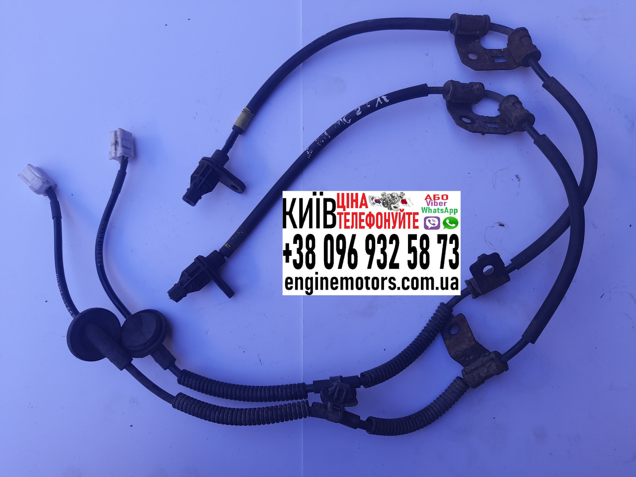 Датчик ABS задній правий Kia Magentis 599102G100, фото 1