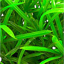 Штучні рослини для акваріума №18, фото 2