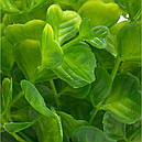 Штучні рослини для акваріума №21, фото 2