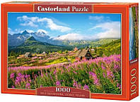 Castorland Puzzle 1000. Hala Gasienicowa, Tatras, Poland / Татри, Польща