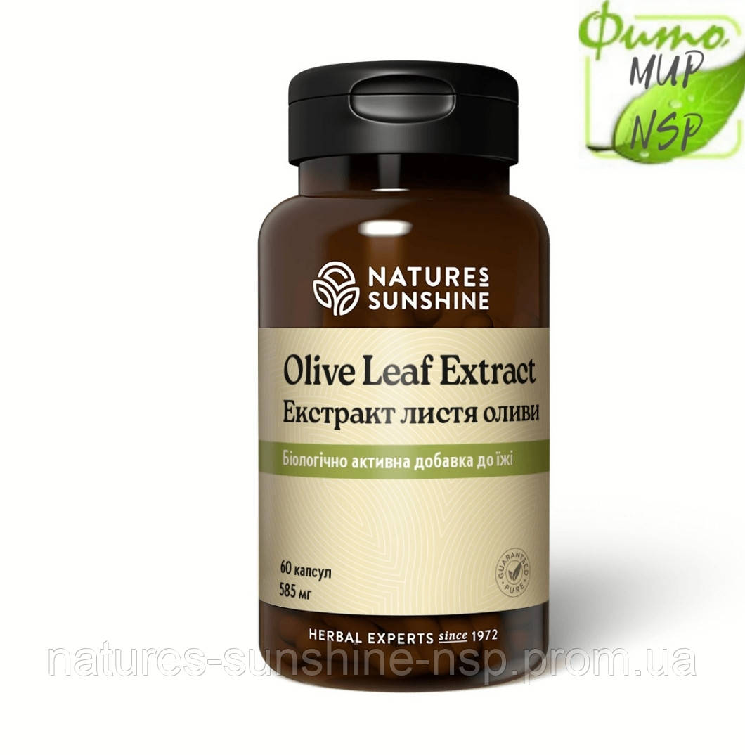 Olive Leaf Extract Екстракт листя оливи