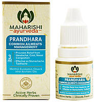 Прандхара, обезболивающие капли, 3 мл, Махариши Аюрведа; Prandhara, 3 ml, Maharishi Ayrveda