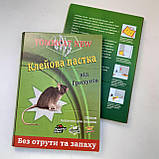 Клейова пастка Tommcat проти гризунів Мала Книжка 16.5*25 см TOMMCAT, фото 3