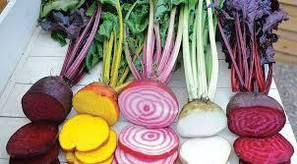 Насіння кормового буряка