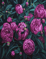 Картина Рисование по номерам Цветы Букеты Розовые пионы Картины по цифрам 40х50 Rainbow Art GX45166