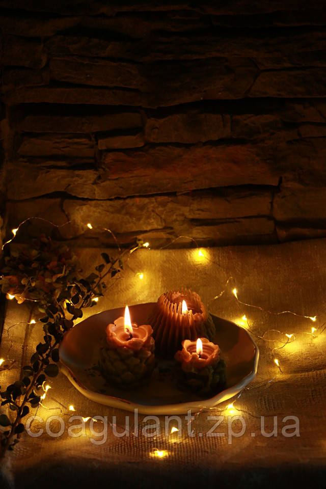 Воскова свічка Соснова Шишка