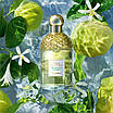 Пробник Туалетна вода унісекс Guerlain Aqua Allegoria Bergamote Calabria 1 мл, фото 4