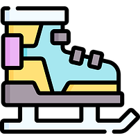 Ковзани-ролики розсувні 2 в 1