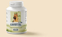 MIKITA Canvital + чеснок - таблетки для собак для оздоровления и иммунитета 150шт