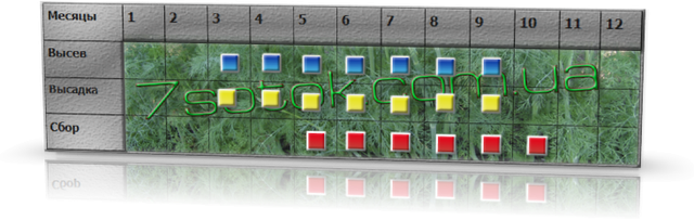 Посів-прибирання кукурудзи