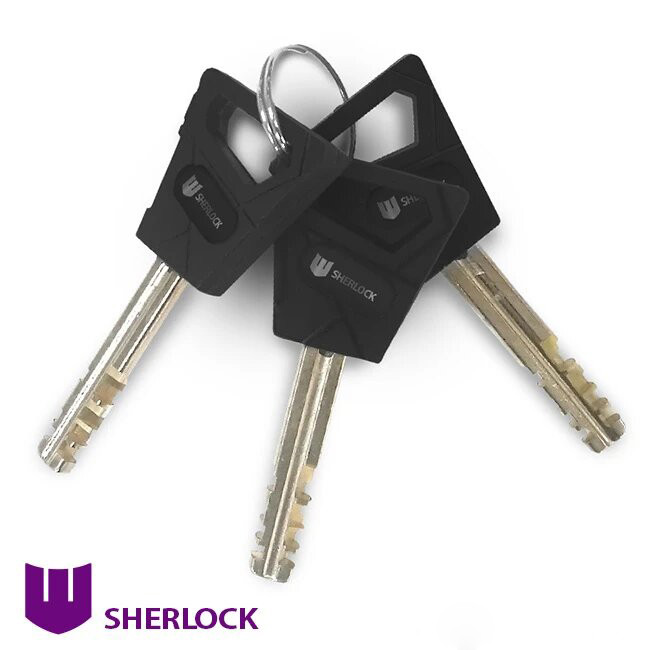 Навесной дверной замок Шерлок 101-70 3 ключа (Китай) - фото 4 - id-p2002538103