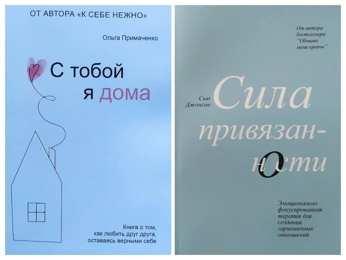 Комплект книг. Ольга Примаченко. С тобой я дома. Сью Джонсон. Сила ...