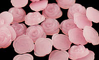 Полубусины пластиковые Розочки 12 мм 40 шт Розовый (31470165015)