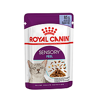 Royal Canin Sensory Feel Jelly 85 г влажный корм для котов (167440-23) LV