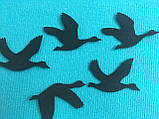 "Пташки", іграшки з фетру на липучках до розвивальних килимків Wonderwall®, 20 елементів, фото 7