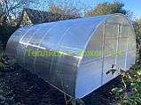 Теплиця "СТАНДАРТ" 4*8*2,10 (ш.д.в.) 32 кв. м., покрита полікарбонатом 4 мм, від виробника., фото 2