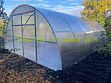 Теплиця "СТАНДАРТ" 4*8*2,10 (ш.д.в.) 32 кв. м., покрита полікарбонатом 4 мм, від виробника., фото 3