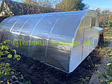 Теплиця "СТАНДАРТ" 4*6*2,10 (ш.д.в.) 24 кв. м., покрита полікарбонатом 6 мм, від виробника., фото 3