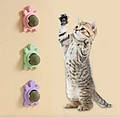 Кошачья мята игрушка вкусняшка лизун для котов Лакомство из натуральной мяты для кошек «T-s»