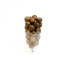 Макадамія горіх в шкаралупі