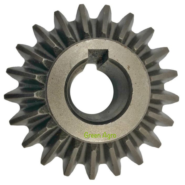 木の実 5045689906_w640_h640_504568990