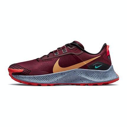 Кросівки для бігу чоловічі Nike Pegasus Trail 3 DA8697-600, фото 1