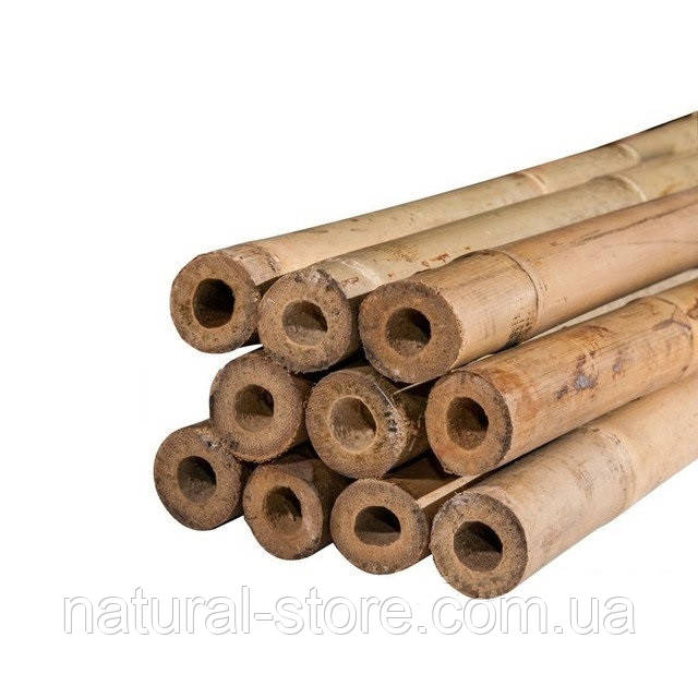 Бамбуковий стовбур L 2,1 м. д 18-20мм палиця, опора  для підв'язки дерев