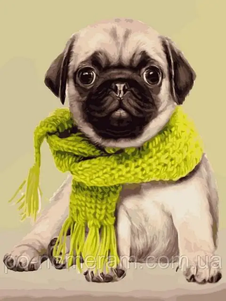 РукІтвор Картина за номерами (VK272) Мопс у шарфиці, 30 х 40 см, DIY Babylon, фото 1