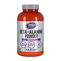 Beta-Alanine 100% pure powder (500 g, unflavored)