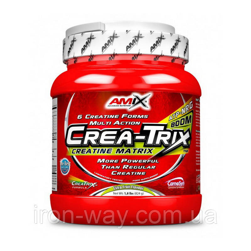 Amix Crea-Trix (824 g, fruit punch)