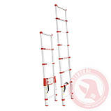 Драбина алюмінієва телескопічна 8 ступ. 2,60 м INTERTOOL LT-3026, фото 2