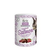 BRIT CARE CAT SNACK SUPERFRUITS SALMON вкусная закуска для стерилизованных кошек с лососем и клюквой 100г