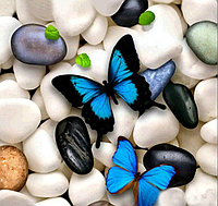 Алмазная вышивка животные насекомые Мозаика круглыми камнями Синие Бабочки на камнях 40х50 Картины стразами