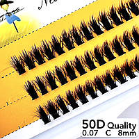 Nesura Eyelash Quality 50D, 0,07, изгиб C, 8 мм, 60 пучков Ресницы Несура пучки