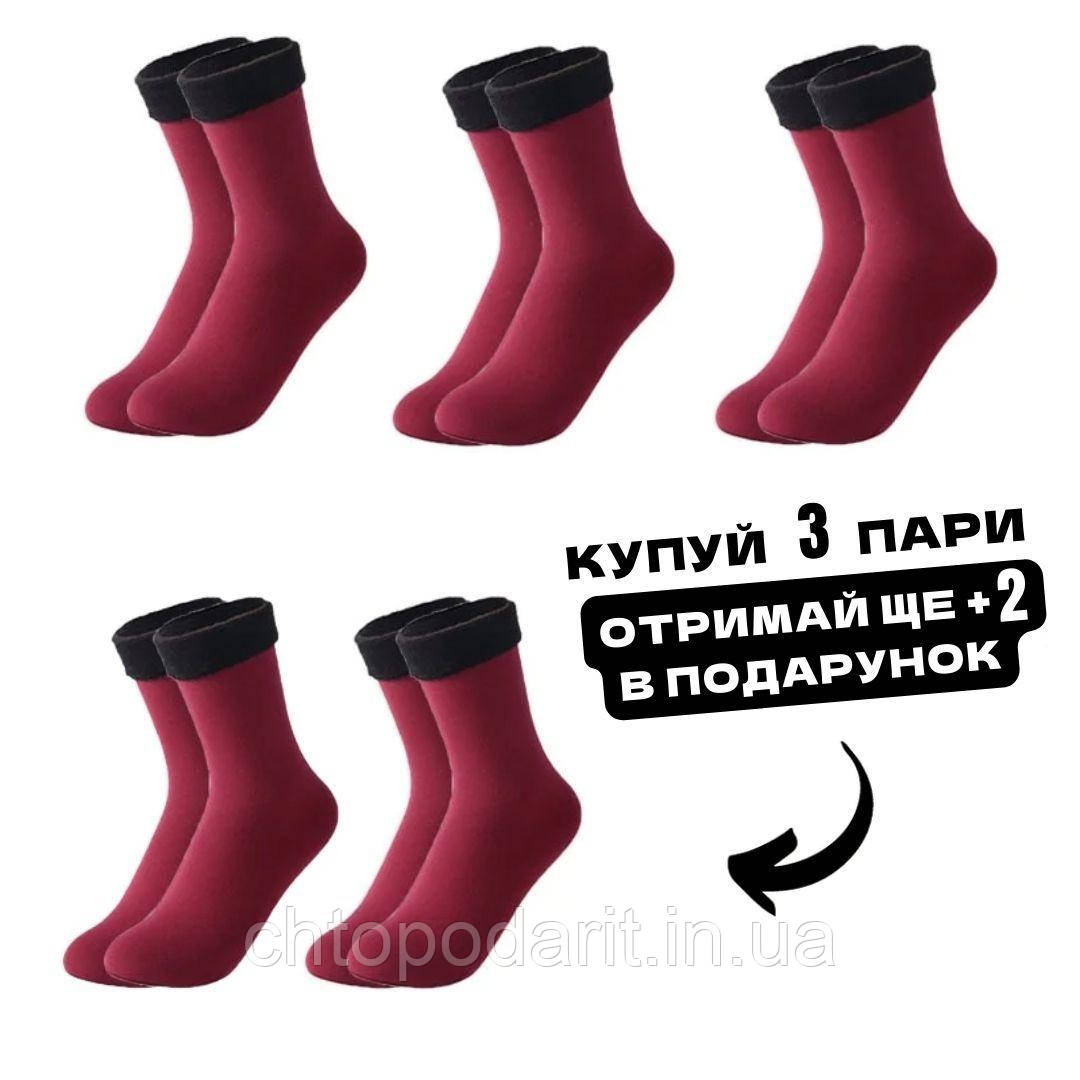 Затишні шкарпетки, зимові жіночі теплі шкарпетки, набір термошкарпеток , червоні 3 пари + 2 в ПОДАРУНОК Код 00-0100
