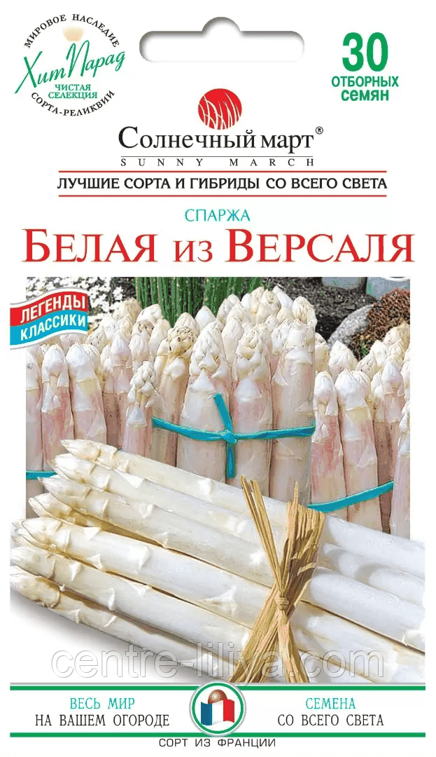 Насіння Спаржа Біла з Версалю 30 шт., СМ