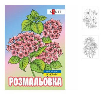Розмальовка SANTI антистрес "Флористика", 12 стор 743058 G-Rich
