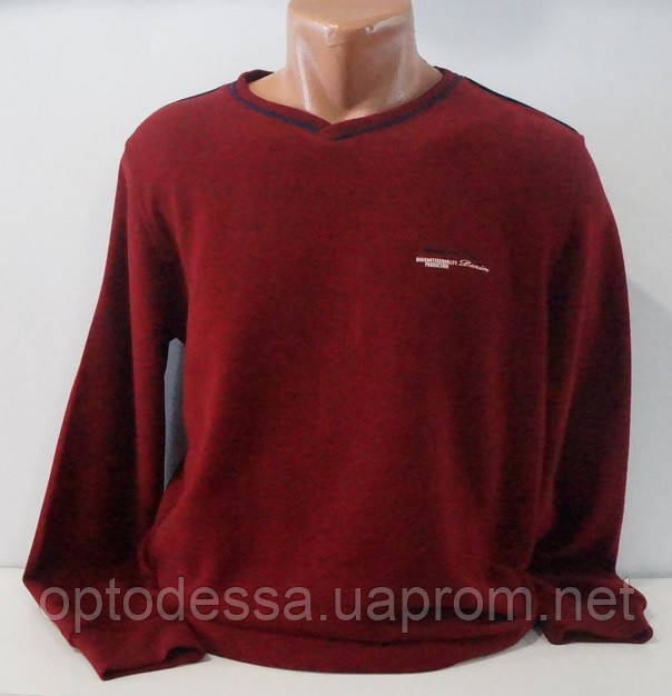 Батник чоловічий red down
