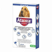 Ataxxa (Атакса) Spot On Капли для собак от 25 до 40 кг KRKA Словения