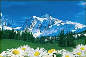 Дезодоранти для одягу