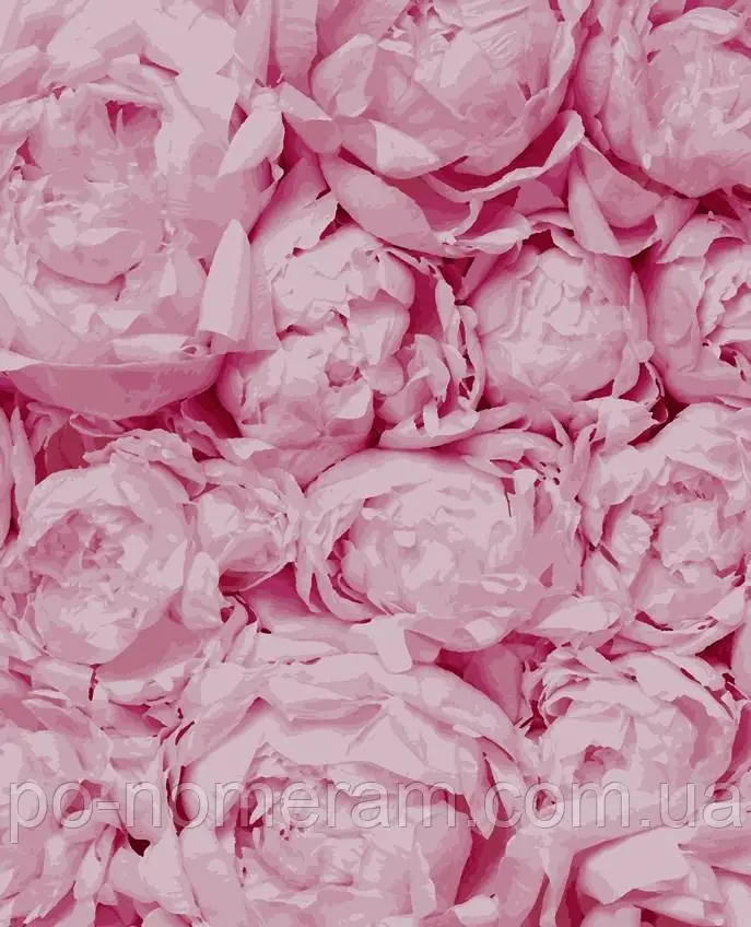 Рукітвор Картина за номерами (PN5103) Ніжність, 40 х 50 см, Artissimo