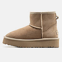 Женские зимние UGG Classic Mini Platform Beige, бежевые замшевые угги мини на платформе уги зима