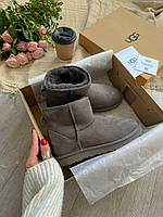 Женские ботинки UGG Classic Mini Grey теплые угги